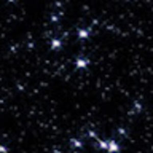 Meet your Posher, Willow